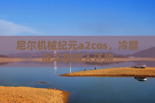 尼尔机械纪元a2cos，冷酷战斗机械人还原