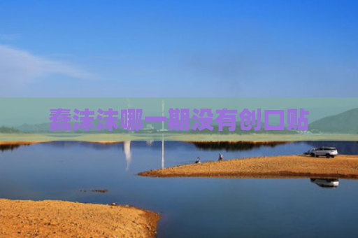 蠢沫沫哪一期没有创口贴