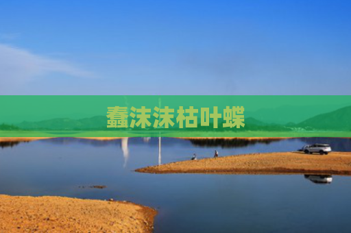 蠢沫沫枯叶蝶