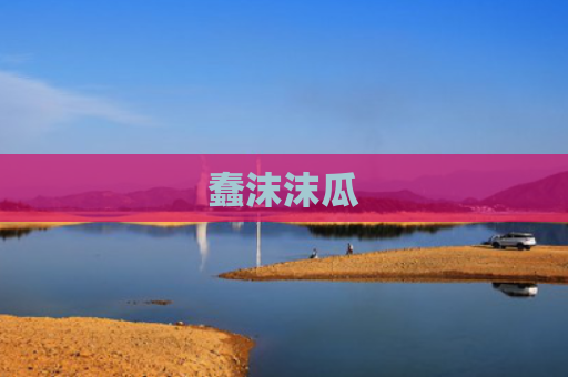 蠢沫沫瓜